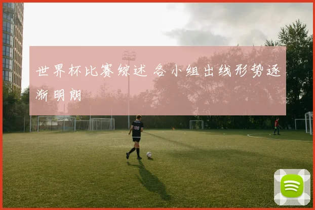 世界杯比赛综述 各小组出线形势逐渐明朗